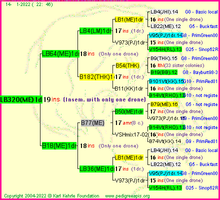 Pedigree of LB320(ME)1dr :
four generations presented
it's temporarily unavailable, sorry!