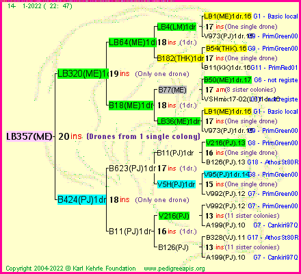 Pedigree of LB357(ME) :
four generations presented
it's temporarily unavailable, sorry!