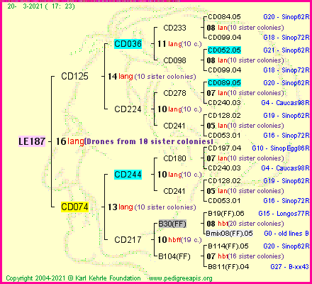 Pedigree of LE187 :
four generations presented
it's temporarily unavailable, sorry!