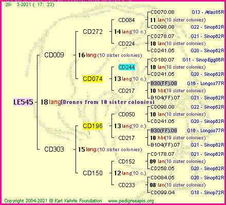 Pedigree of LE545 :
four generations presented
it's temporarily unavailable, sorry!