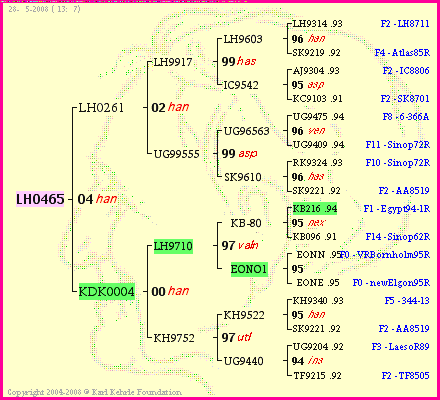 Pedigree of LH0465 :
four generations presented