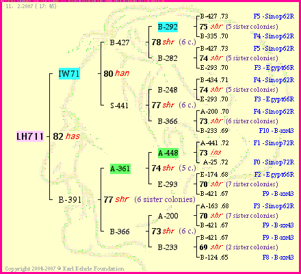 Pedigree of LH711 :
four generations presented