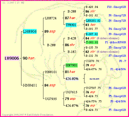 Pedigree of LH9006 :
four generations presented