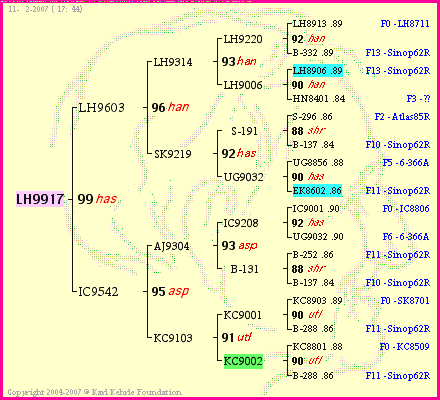 Pedigree of LH9917 :
four generations presented