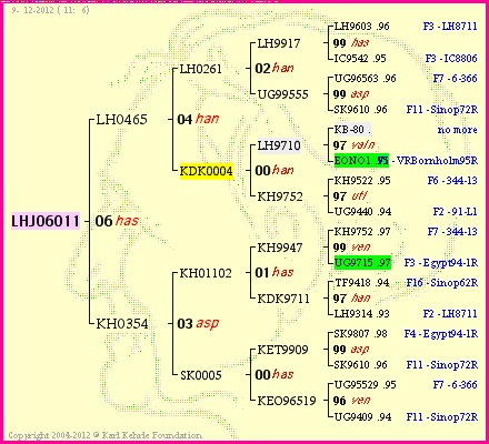 Pedigree of LHJ06011 :
four generations presented