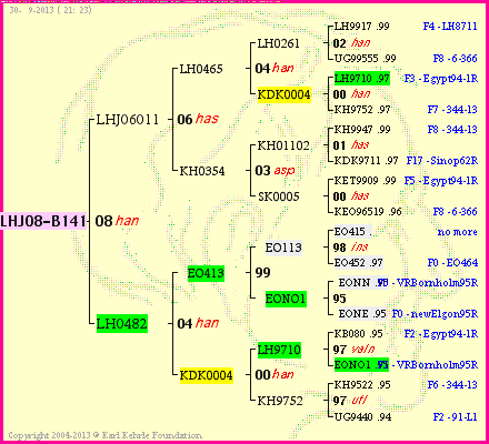 Pedigree of LHJ08-B141 :
four generations presented