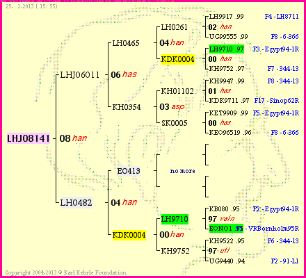 Pedigree of LHJ08141 :
four generations presented