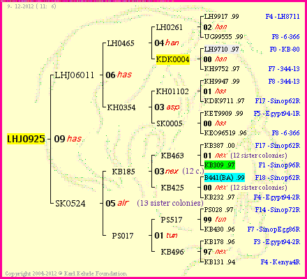 Pedigree of LHJ0925 :
four generations presented