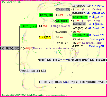 Pedigree of LK1026(JBB) :
four generations presented<br />it's temporarily unavailable, sorry!