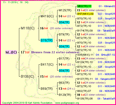 Pedigree of M..(IC) :
four generations presented<br />it's temporarily unavailable, sorry!