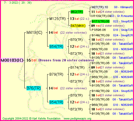 Pedigree of M00183(IC) :
four generations presented
it's temporarily unavailable, sorry!