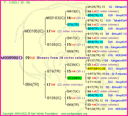 Pedigree of M00898(IC) :
four generations presented
it's temporarily unavailable, sorry!