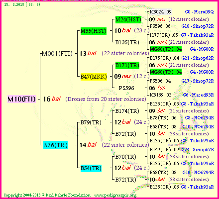 Pedigree of M10(FTI) :
four generations presented