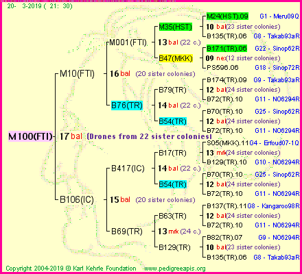 Pedigree of M100(FTI) :
four generations presented<br />it's temporarily unavailable, sorry!