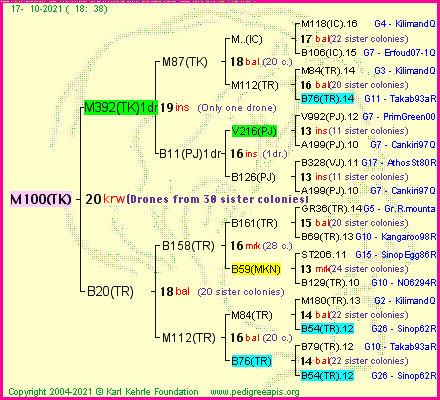 Pedigree of M100(TK) :
four generations presented
it's temporarily unavailable, sorry!