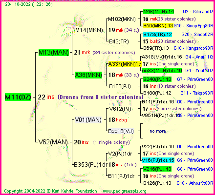 Pedigree of M11(DZ) :
four generations presented
it's temporarily unavailable, sorry!