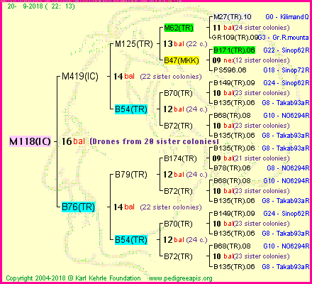 Pedigree of M118(IC) :
four generations presented<br />it's temporarily unavailable, sorry!