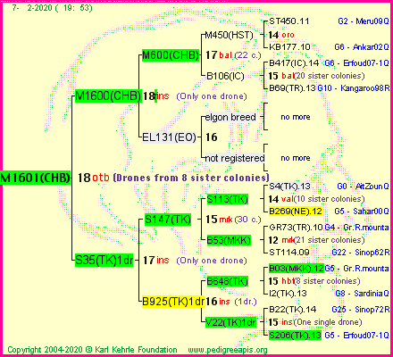 Pedigree of M1601(CHB) :
four generations presented
it's temporarily unavailable, sorry!