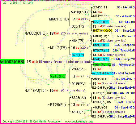 Pedigree of M1602(CHB) :
four generations presented
it's temporarily unavailable, sorry!