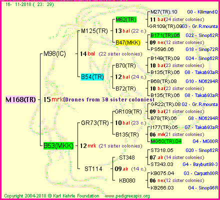 Pedigree of M168(TR) :
four generations presented<br />it's temporarily unavailable, sorry!