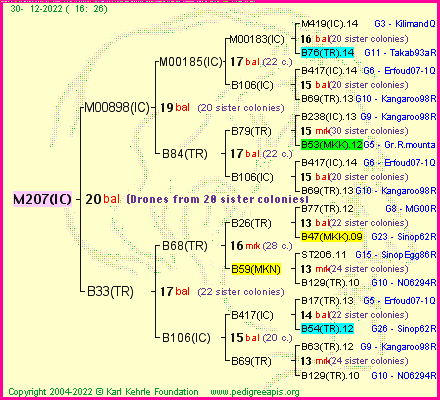 Pedigree of M207(IC) :
four generations presented
it's temporarily unavailable, sorry!