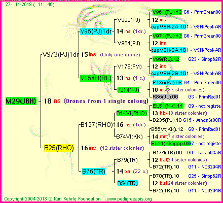 Pedigree of M29(JBH) :
four generations presented<br />it's temporarily unavailable, sorry!