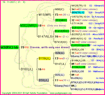 Pedigree of M3(RSC)1dr :
four generations presented
it's temporarily unavailable, sorry!