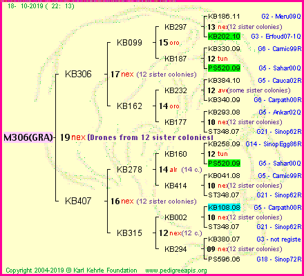 Pedigree of M306(GRA) :
four generations presented
it's temporarily unavailable, sorry!