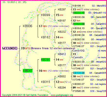 Pedigree of M33(NDE) :
four generations presented
it's temporarily unavailable, sorry!