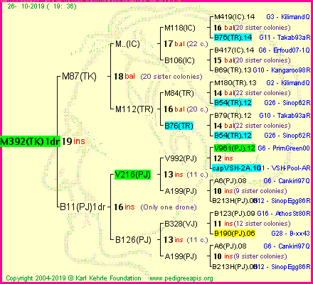 Pedigree of M392(TK)1dr :
four generations presented
it's temporarily unavailable, sorry!