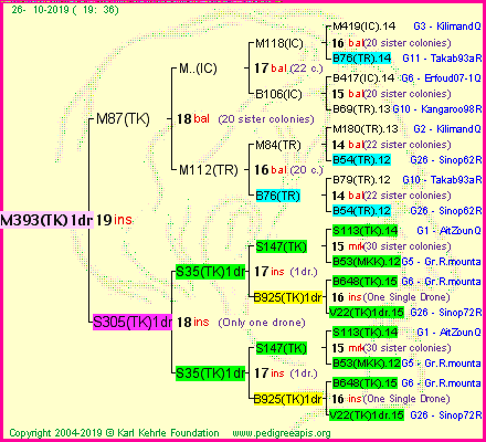 Pedigree of M393(TK)1dr :
four generations presented
it's temporarily unavailable, sorry!