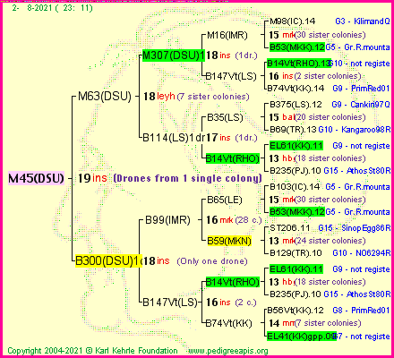 Pedigree of M45(DSU) :
four generations presented
it's temporarily unavailable, sorry!