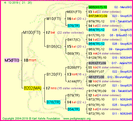 Pedigree of M5(FTI) :
four generations presented<br />it's temporarily unavailable, sorry!