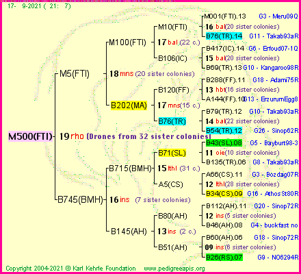 Pedigree of M500(FTI) :
four generations presented
it's temporarily unavailable, sorry!