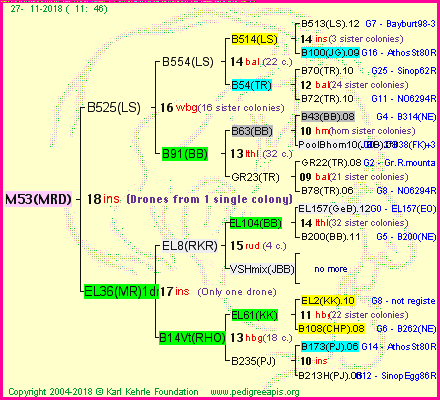 Pedigree of M53(MRD) :
four generations presented<br />it's temporarily unavailable, sorry!