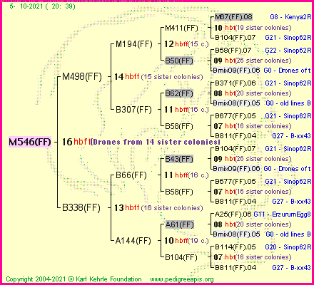 Pedigree of M546(FF) :
four generations presented
it's temporarily unavailable, sorry!