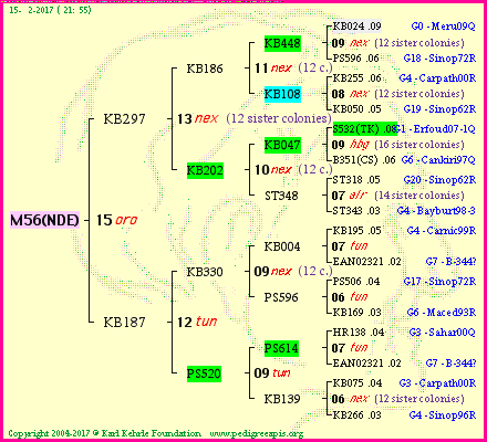 Pedigree of M56(NDE) :
four generations presented