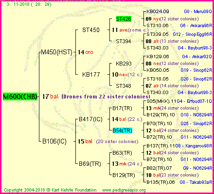 Pedigree of M600(CHB) :
four generations presented
it's temporarily unavailable, sorry!