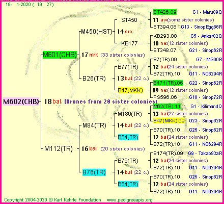 Pedigree of M602(CHB) :
four generations presented
it's temporarily unavailable, sorry!