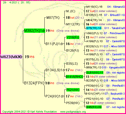 Pedigree of M623(MKN) :
four generations presented
it's temporarily unavailable, sorry!