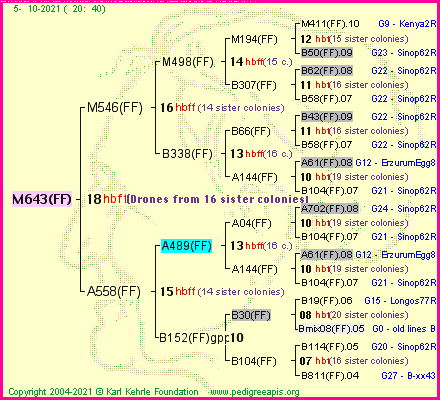 Pedigree of M643(FF) :
four generations presented
it's temporarily unavailable, sorry!