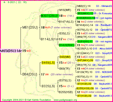 Pedigree of M65(DSU)1dr :
four generations presented
it's temporarily unavailable, sorry!