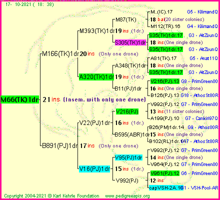 Pedigree of M66(TK)1dr :
four generations presented
it's temporarily unavailable, sorry!