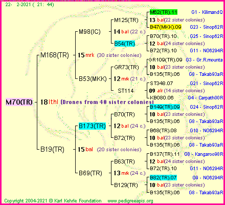 Pedigree of M70(TR) :
four generations presented
it's temporarily unavailable, sorry!