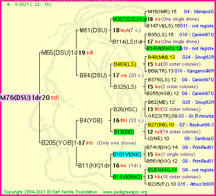 Pedigree of M76(DSU)1dr :
four generations presented
it's temporarily unavailable, sorry!