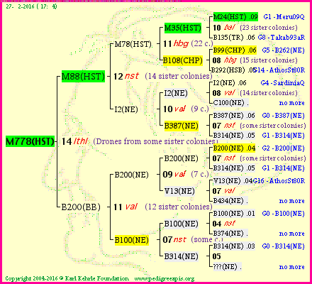 Pedigree of M778(HST) :
four generations presented