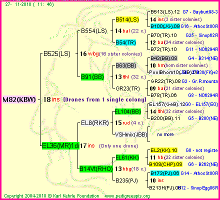 Pedigree of M82(KBW) :
four generations presented<br />it's temporarily unavailable, sorry!