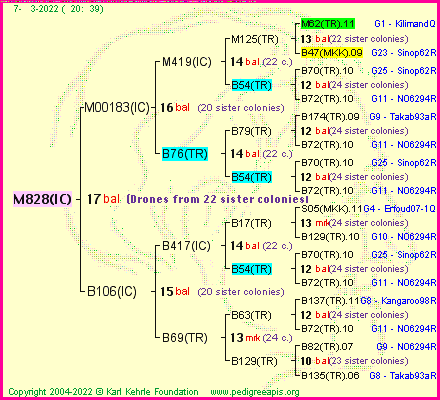 Pedigree of M828(IC) :
four generations presented
it's temporarily unavailable, sorry!