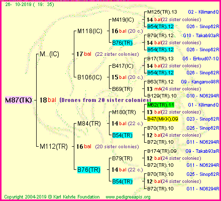 Pedigree of M87(TK) :
four generations presented
it's temporarily unavailable, sorry!