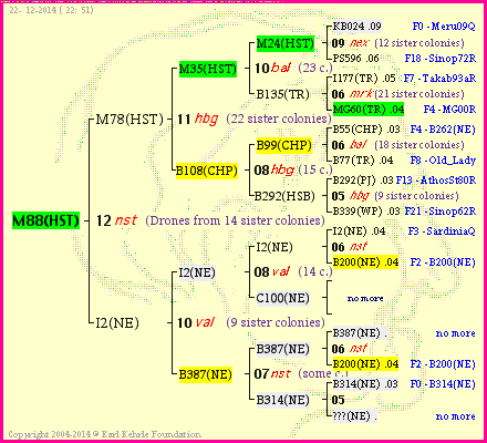 Pedigree of M88(HST) :
four generations presented